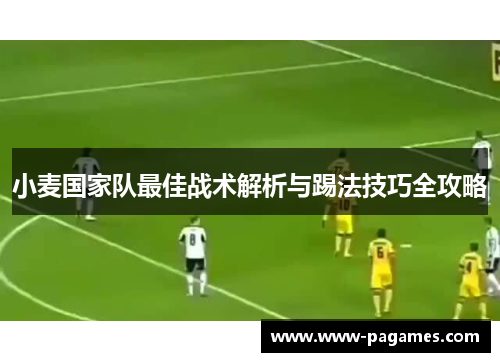 小麦国家队最佳战术解析与踢法技巧全攻略