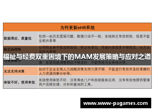 福祉与经费双重困境下的MAM发展策略与应对之道