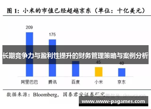 长期竞争力与盈利性提升的财务管理策略与案例分析 长期竞争力与盈利性提升的财务管理策略与案例分析