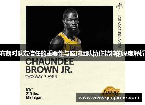 布朗对队友信任的重要性与篮球团队协作精神的深度解析
