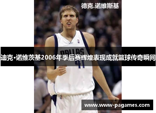 迪克·诺维茨基2006年季后赛辉煌表现成就篮球传奇瞬间