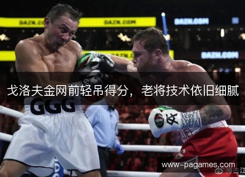 戈洛夫金网前轻吊得分,老将技术依旧细腻 戈洛夫金网前轻吊得分,老将技术依旧细腻