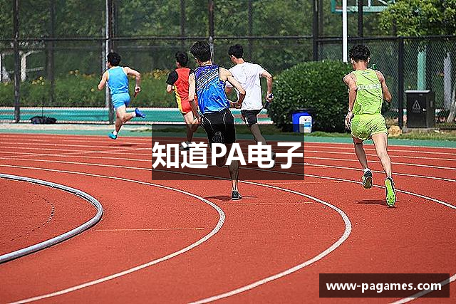 知道PA电子